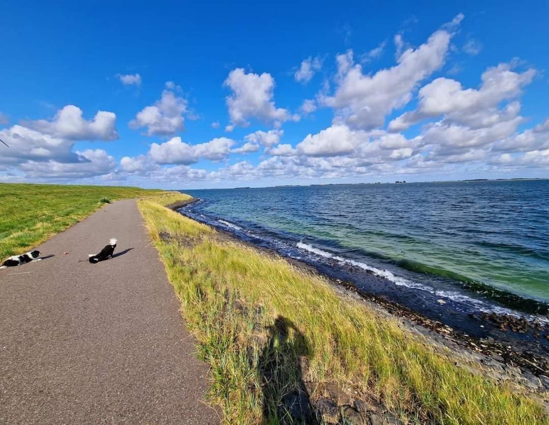 De Corner Van Zeeland Met Jacuzzi Sint Annaland Exterior foto
